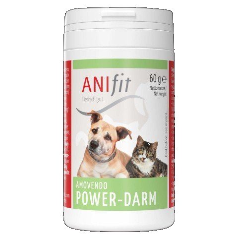 Power Darm